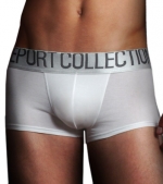 Report Collection Modal Silver Trunk